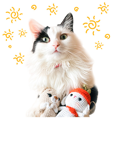 Katzenspielzeug